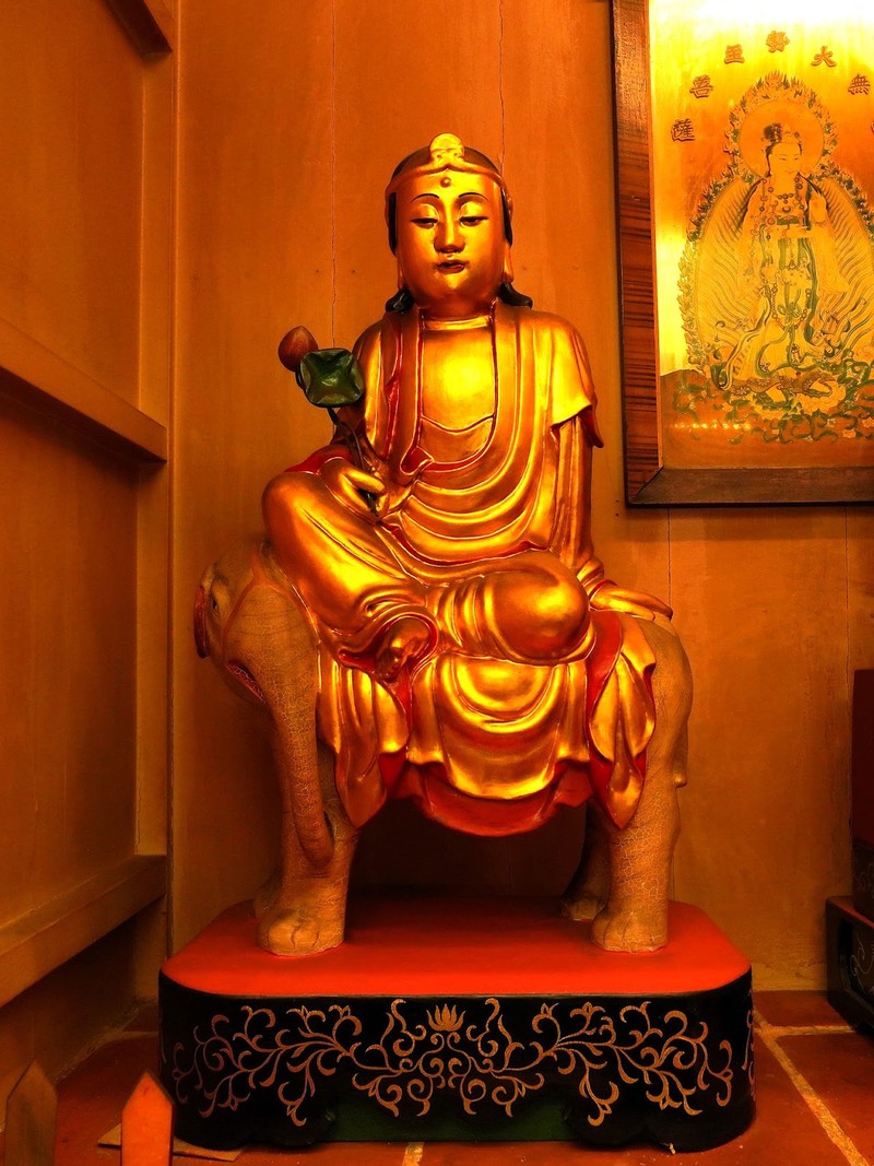 府城重慶寺普賢菩薩聖誕 深入「華嚴三聖」事理圓融之境，體悟大行願力，領受隨身守護的吉祥祝福
