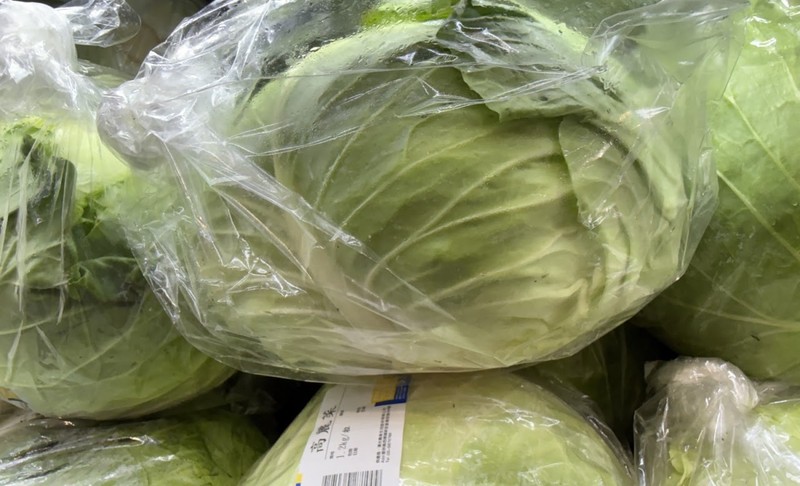 這才是正港台南甜！解密冬天高麗菜「比水果還脆」的滋味